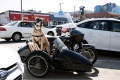 Transporter chien chat à moto