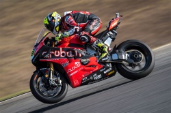 WSBK : Bautista vainqueur dans la douleur - Crédit photo : Ducati