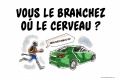 Et mettez où cerveau ?