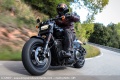 Harley Davidson met motos Softail à essai