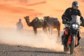 Essai KTM 790 Adventure R