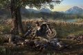 Jeu vidéo Days Gone