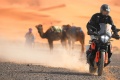 Essai comparo moto KTM 790 Adventure Adventure R