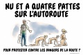 Nu à 4 pattes autoroute