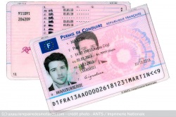 62.315 permis invalidés en 2019