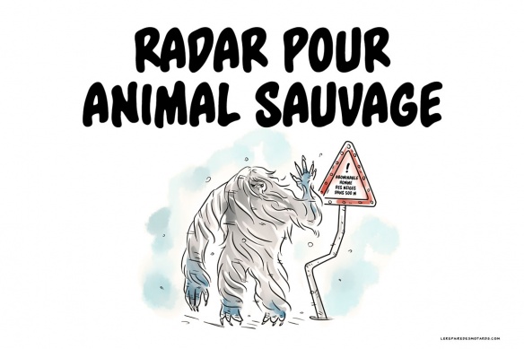 Radar pour animal sauvage