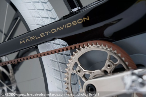Harley s'éloigne de ses VAE Harley s'éloigne de ses VAE