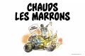 Chauds marrons