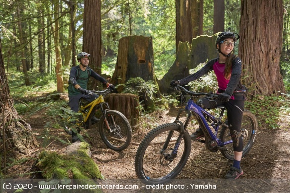 Le VTT AE reste pour l'heure réservé au marché américain Le VTT AE reste pour l'heure réservé au marché américain