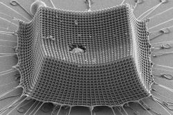 Un matériau plus résistant que le Kevlar