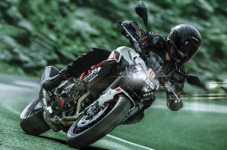 Roadster Kawasaki Z900 2022