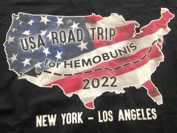Un roadtrip caritatif en mob aux Etats-Unis