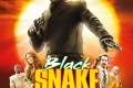 Film moto Black Snake légende serpent noir