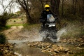 Des stages trail spécial Harley Davidson