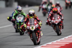WSBK : Triplé de Bautista à Barcelone - Crédit photo : Ducati