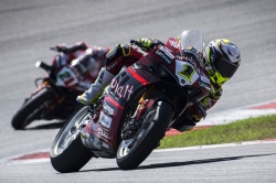 WSBK : triplé de Bautista au Portugal - Crédit photo : Ducati