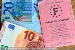 Un réseau de fraude au code de la route démantelé