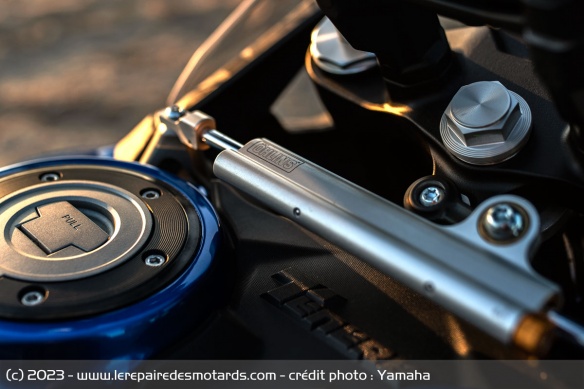 L'amortisseur de direction de la Yamaha Ténéré 700 World Rally