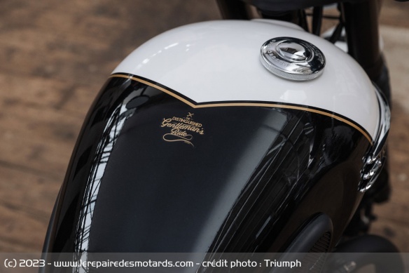Logos de la Triumph DGR Limited Edition