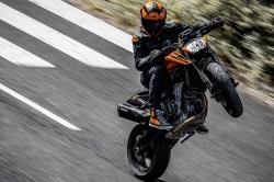 Roadster KTM 790 Duke 2024