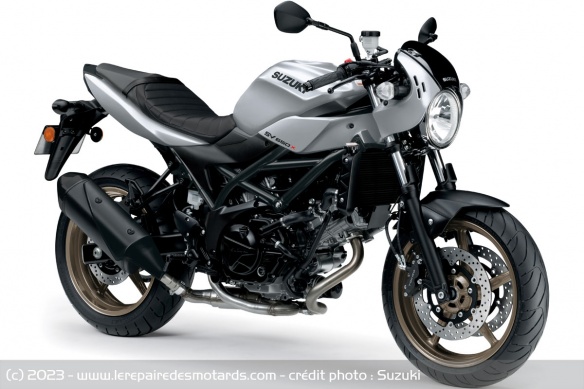 Roadster Suzuki SV650X Roadster Suzuki SV650X
