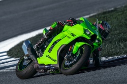 Sportive Kawasaki Ninja ZX-10RR 2024