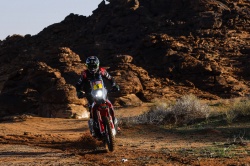Dakar : la 4e étape pour Barreda - Crédit photo : Julien Delfosse / DPPI