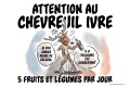 Attention chevreuil ivre route