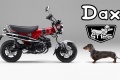 Génération Honda ST Dax
