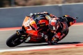 Moto2 Acosta large Indonésie