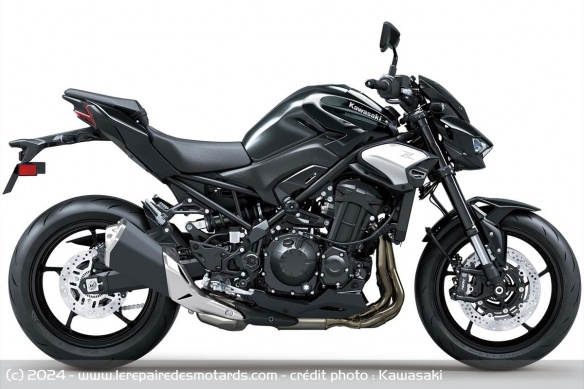 Roadster Kawasaki Z900 2025 Roadster Kawasaki Z900 2025