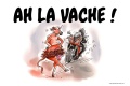 Un motard meurt après percuté vache