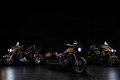 Nouveaut 2025 Customs Harley Davidson Tobacco Face