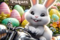 Fable motard lapin