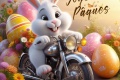 Motard lapin même combat !