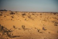 Rallye Africa Eco Race Cerutti large