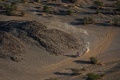 Dakar 3e succès Cornejo