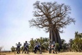Roadtrip moto à Madagascar