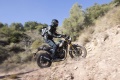 Essai Triumph Scrambler 400 X