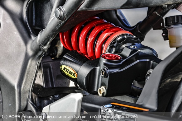 Kawasaki lance la Coupe ZX-4RR