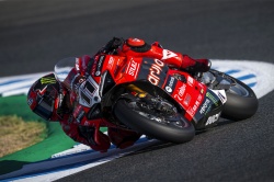 WSBK : Bulega s'impose à Jerez - Crédit photo : Ducati