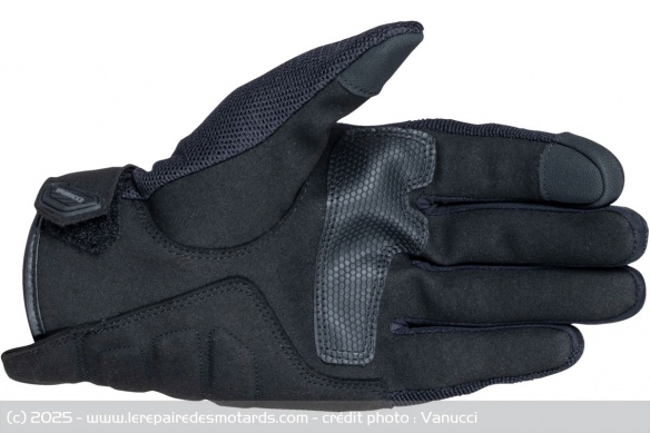 Gants Vanucci VUG-5 Gants Vanucci VUG-5
