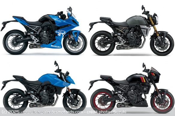 La Racing Ligne est compatible avec toutes les Suzuki GSX-8 La Racing Ligne est compatible avec toutes les Suzuki GSX-8