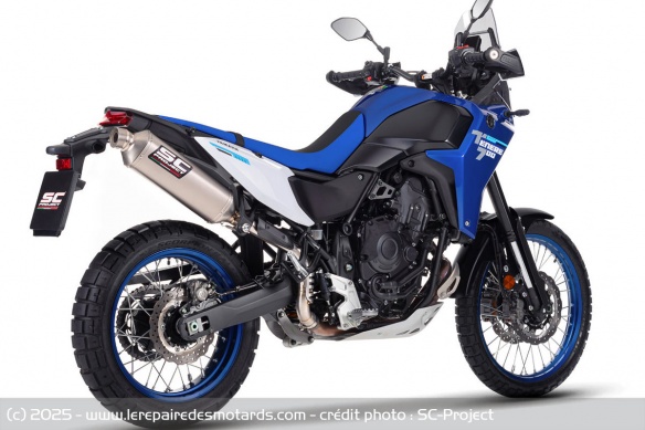 Le silencieux Rally Raid en position haute Le silencieux Rally Raid en position haute