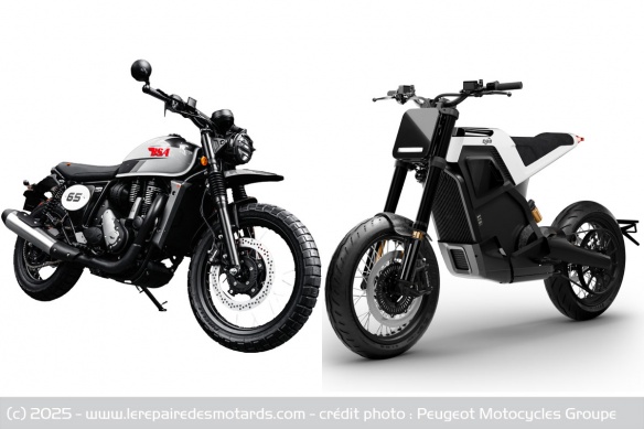 BSA Star Scrambler et DAB 1a BSA Star Scrambler et DAB 1a