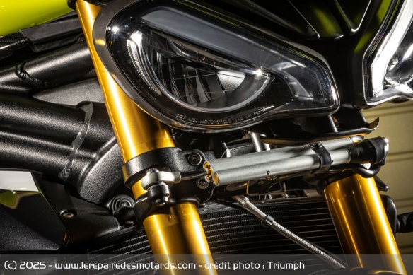 Roadster Triumph Speed Triple 1200 RX Roadster Triumph Speed Triple 1200 RX
