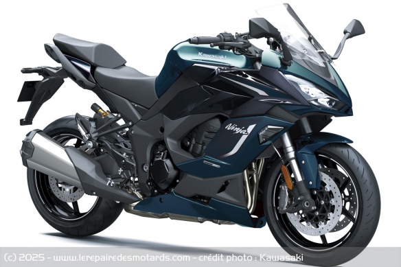 Kawasaki Ninja 1100SX SE