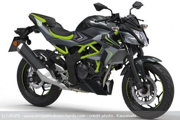 Kawasaki Z125 2026