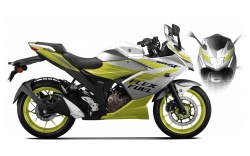 Suzuki Gixxer SF 250 Flex Fluel