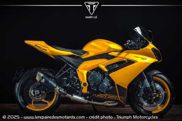 Triumph Daytona 600 'R' - Triumph Saint-Lô Triumph Daytona 600 'R' - Triumph Saint-Lô